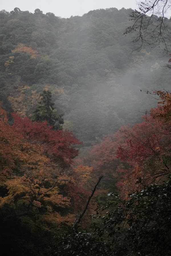 Minoh 4