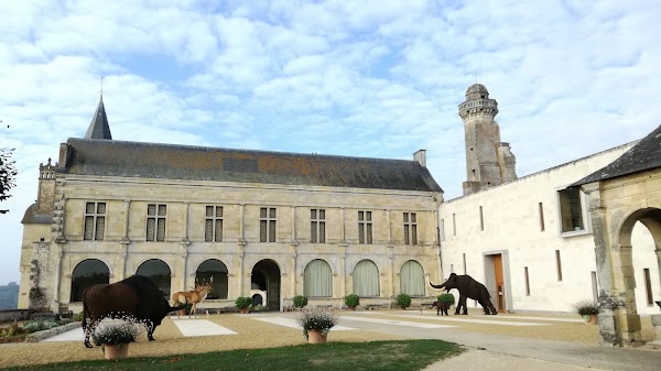 Museum of Prehistory of Grand Pressigny 1