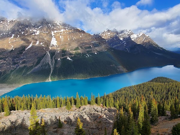 Bow Summit and Peyto Lake