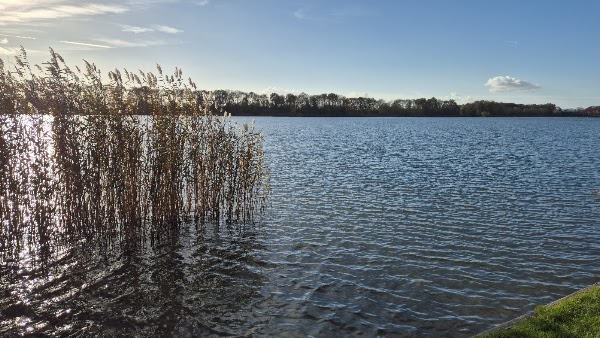 Swimming area Maarsseveense Plassen 3