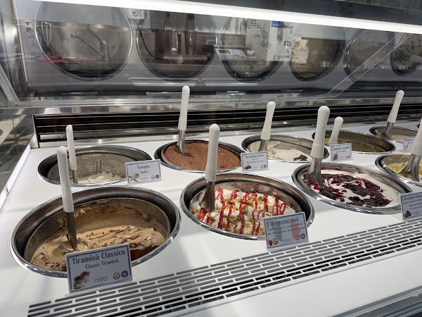 MYO - LA GELATERIA 4