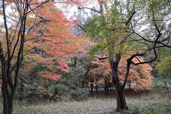 Uhwajeong Pavilion 4