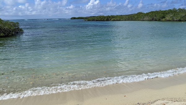 Playa los alemanes