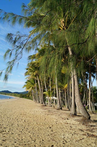 Palm Cove 1