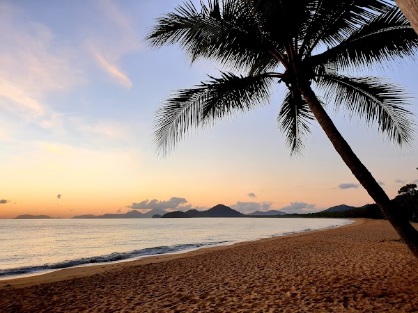 Palm Cove 5