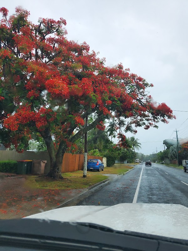 Palm Cove 4
