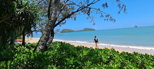 Palm Cove 3