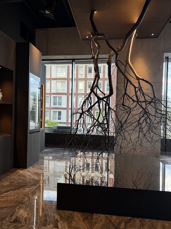Chef’s Table Rotterdam