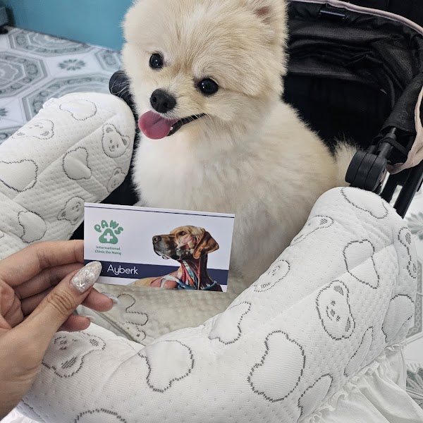 PAWS International Clinic Da Nang 3