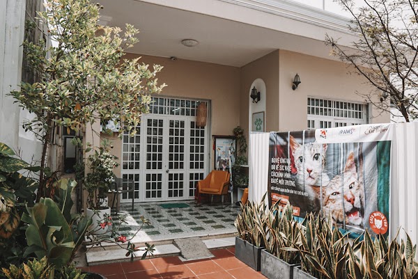 PAWS International Clinic Da Nang 2