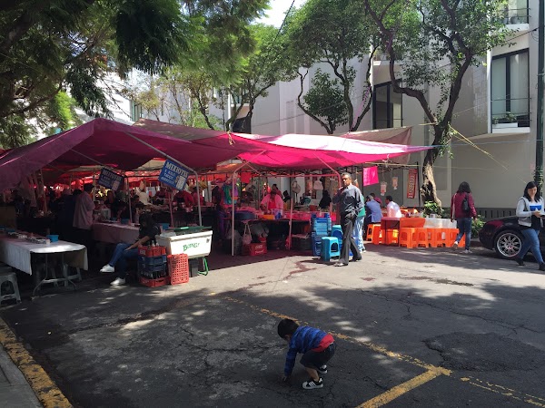 Condesa Tianguis (Tuesday)