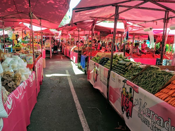 Condesa Tianguis (Tuesday) 3