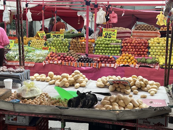 Condesa Tianguis (Tuesday) 2