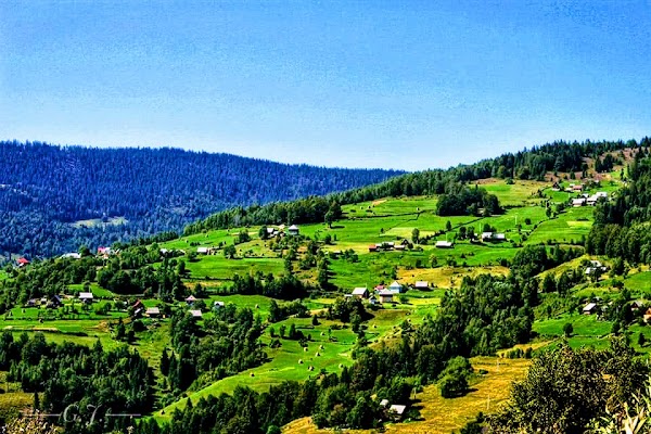 Apuseni Mountains