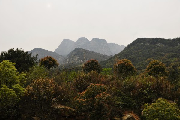 Lushan Mountain 4
