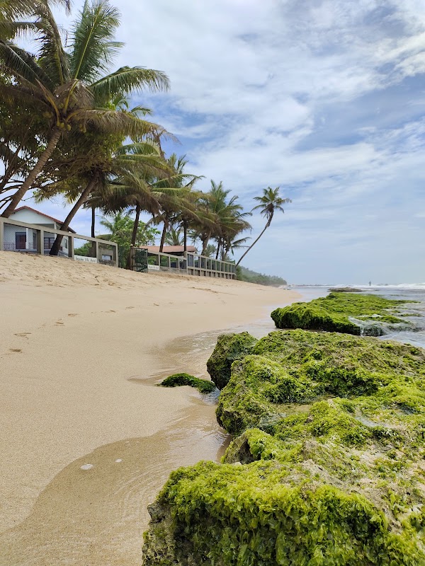 Madiha Beach 1