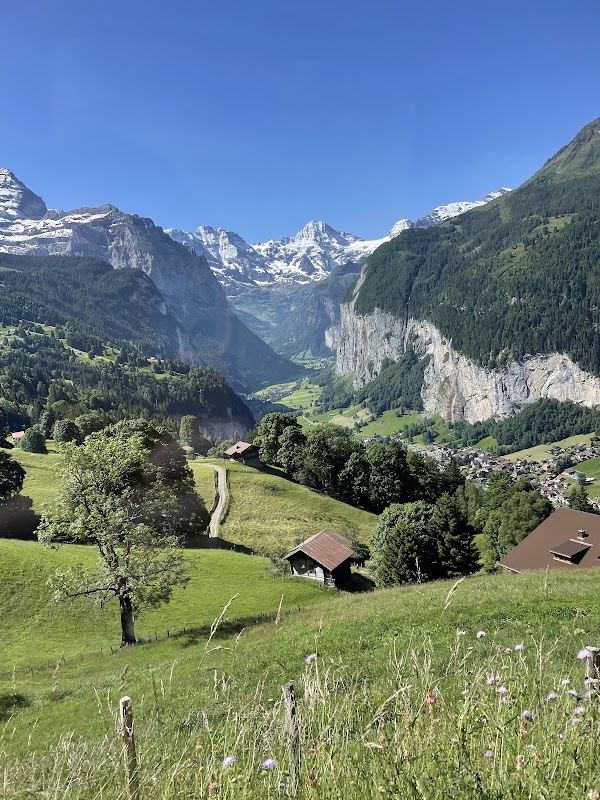 Wengen Jungfrau
