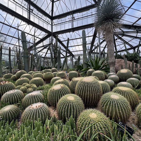 South China Botanical Garden 5
