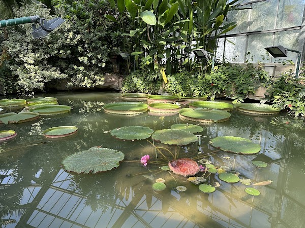 South China Botanical Garden 4