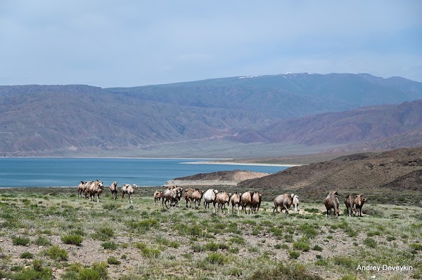 Orto Tokoy Reservoir 4