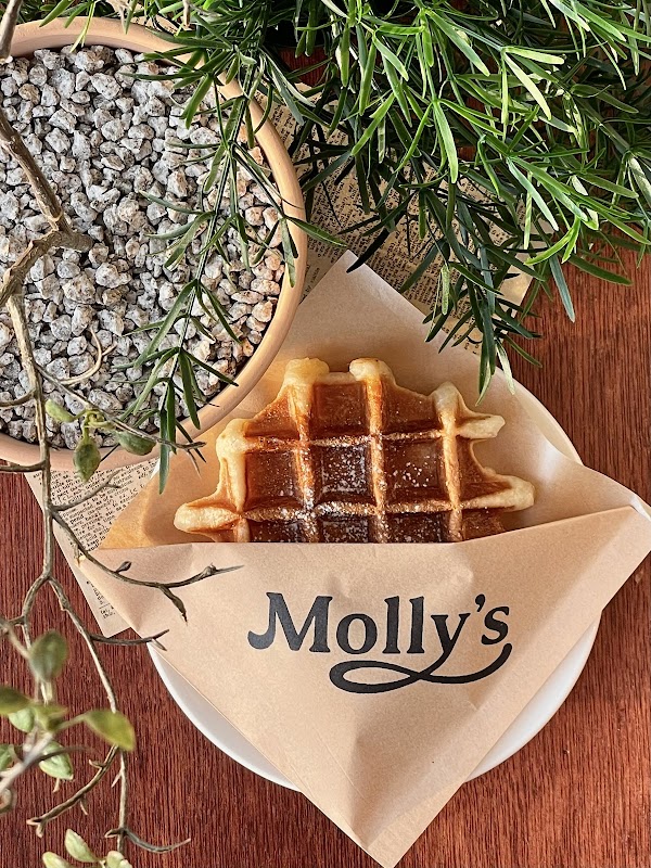 몰리스 molly's 5