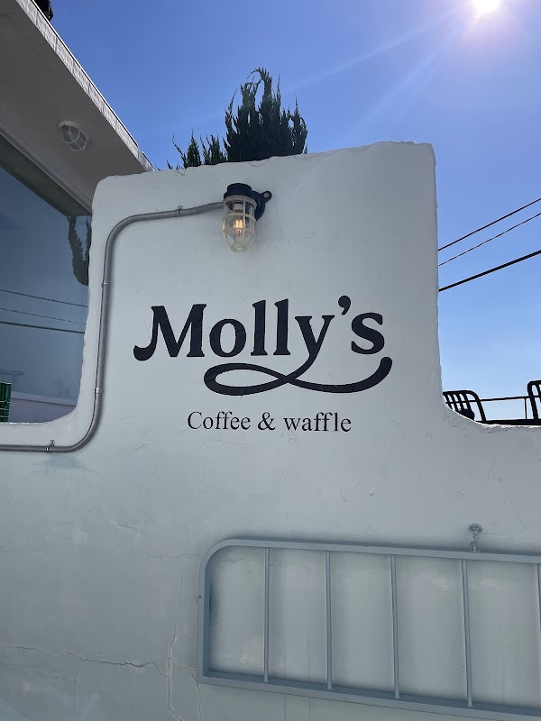 몰리스 molly's 4
