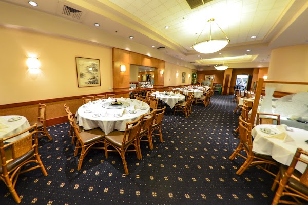 Yank Sing (Spear St.) 1