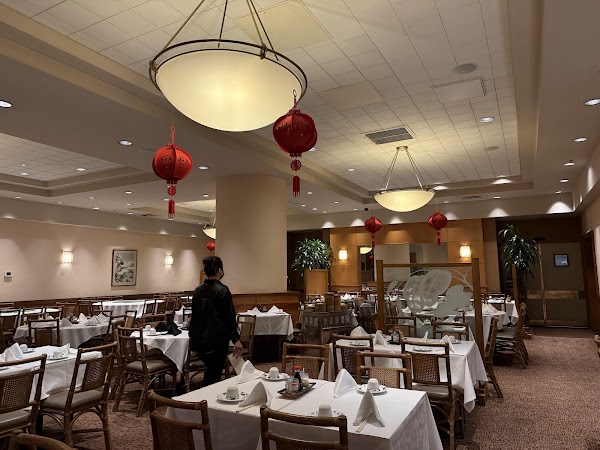 Yank Sing (Spear St.) 5