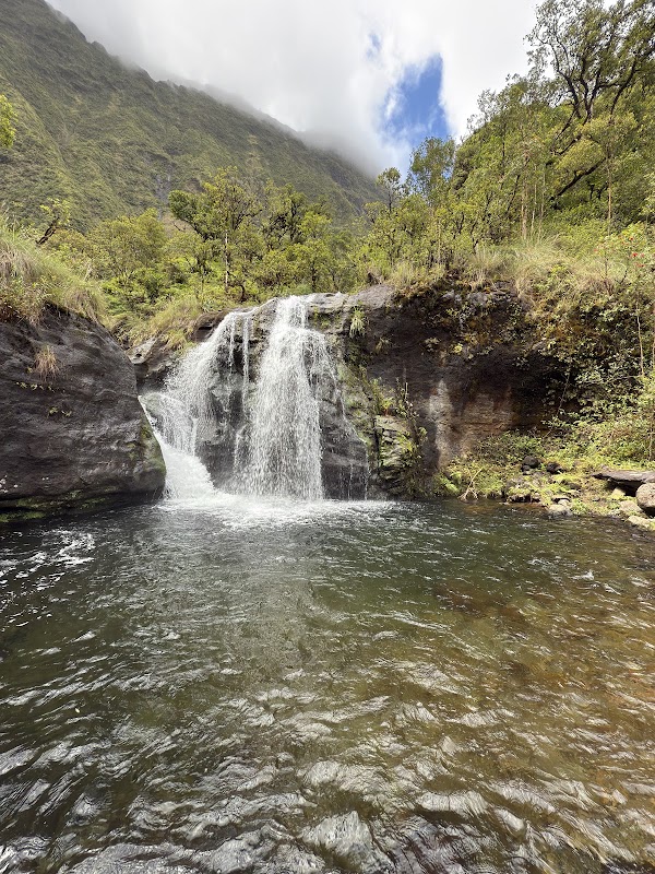 Waialeale 4