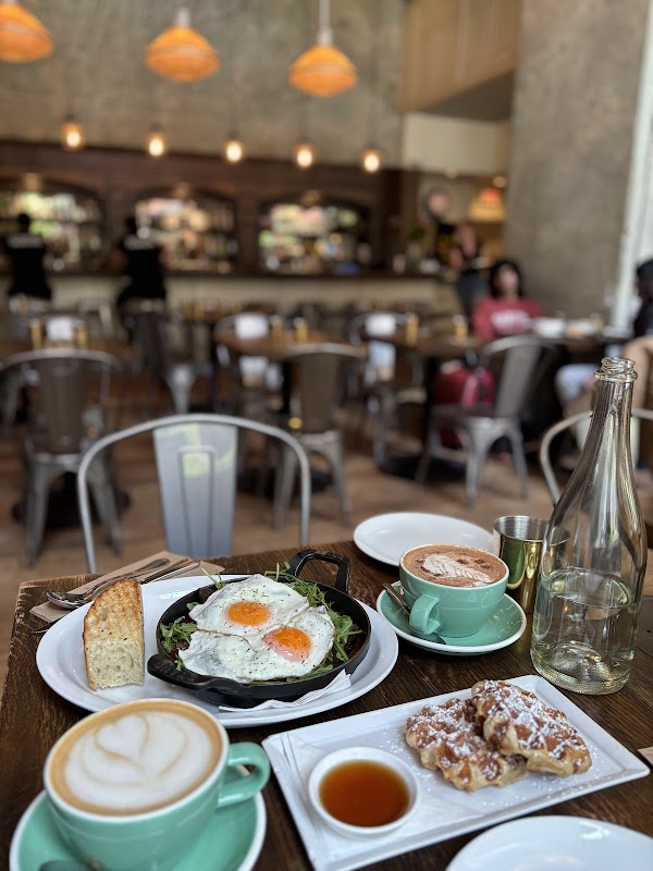 Cafe Medina 4