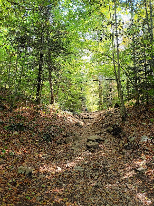 Belvédère des Quatre Lacs 3