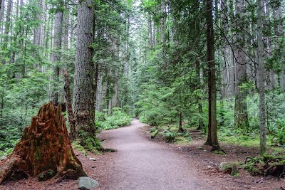 Pacific Spirit Regional Park 1
