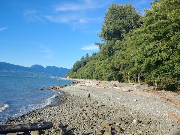 Pacific Spirit Regional Park 3