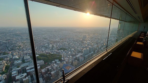 The Sky Garden 5