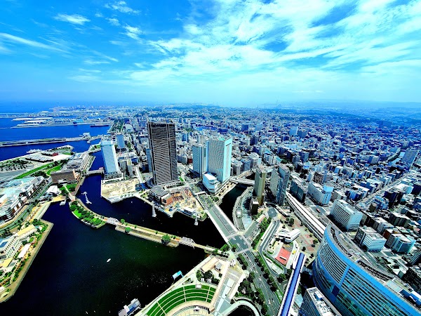 The Sky Garden 4