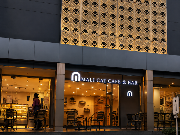 Mali Cat Cafe & Bar 2