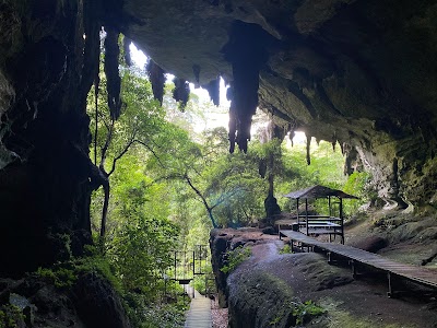 Niah National Park, Sarawak, Malaysia.