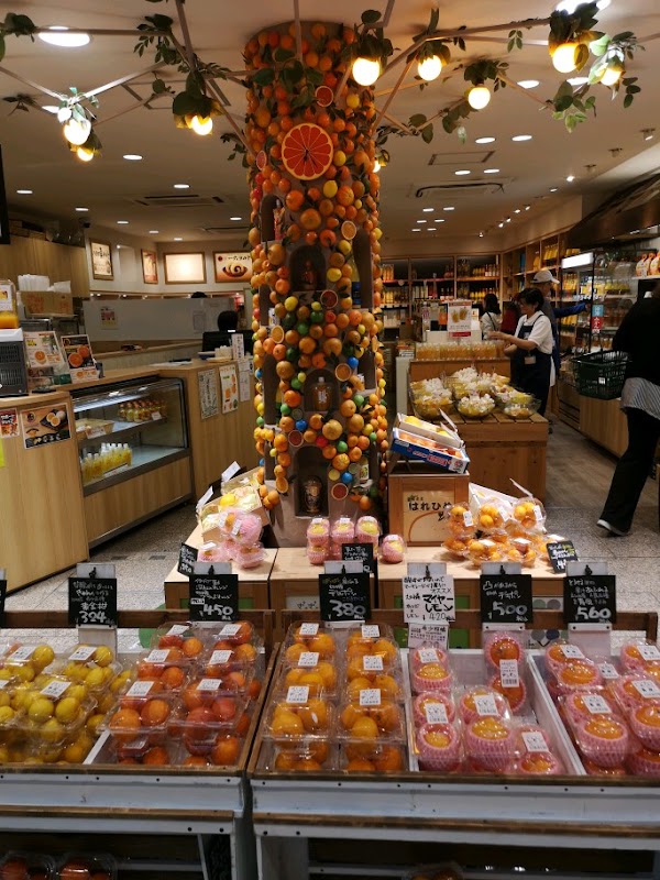 Dogo Shopping Street (Dogo Haikara Avenue) 3