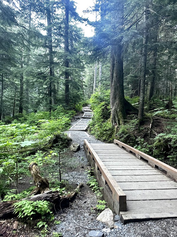 Franklin Falls Trailhead 3