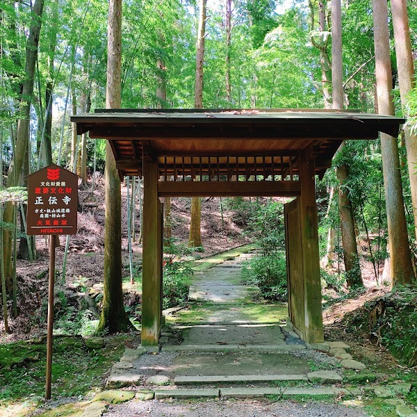 Shōden-ji Temple 2