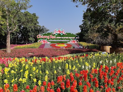 Garden of Reeds