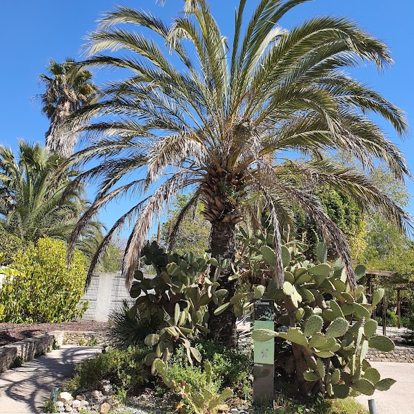 Jardin botanique de la Ville de Marseille 3