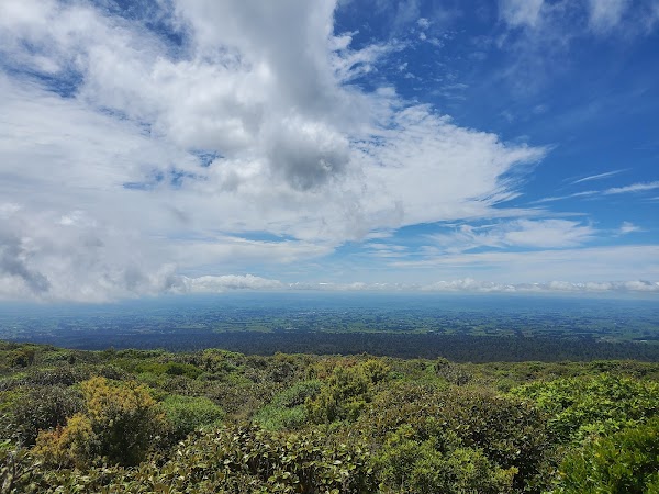 Egmont Forest 5
