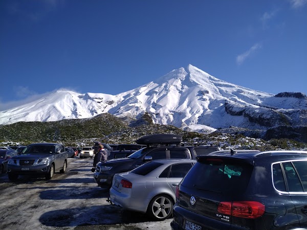 Egmont Forest 3