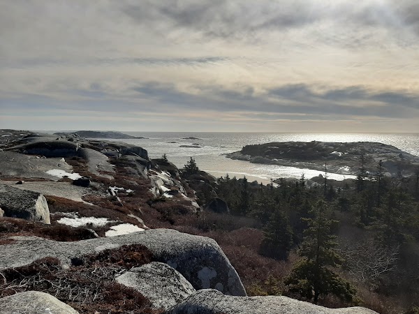 Polly Cove Trail 5