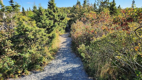 Polly Cove Trail 4