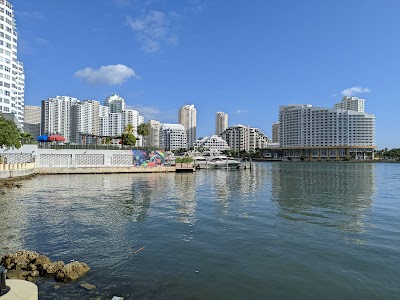 Miami 1
