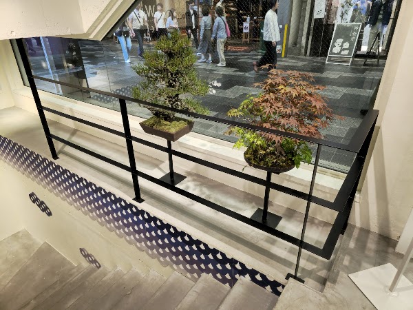 Levi's Store Kyoto 3