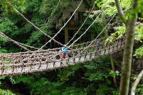 Iya Valley Vine Bridge 5