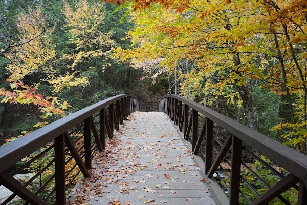Stubb's Falls 2